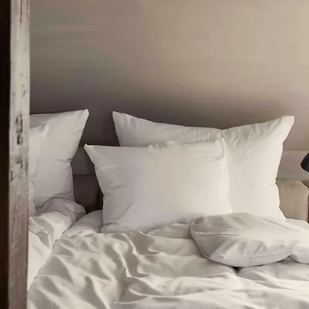 Villa Copenhagen 哥本哈根