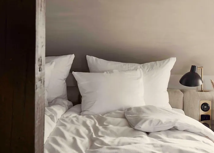 Villa Copenhagen 코펜하겐